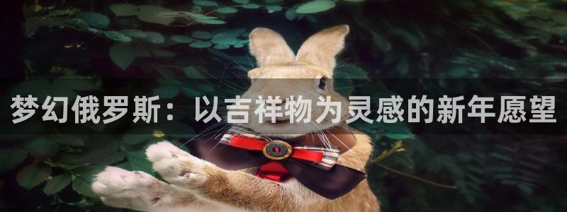 澳门世界杯直播：梦幻俄罗斯：以吉祥物为灵感的新年愿望
