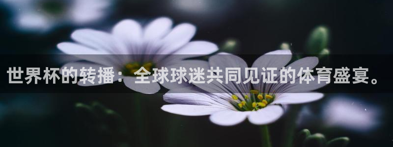 世界杯转播表：世界杯的转播：全球球迷共同见证的体育盛宴。