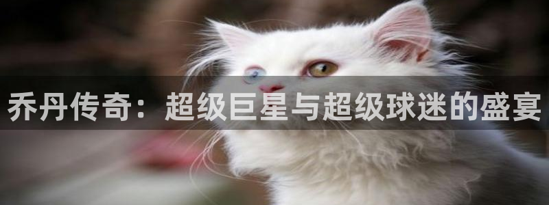 2026世界杯直播免费观看:乔丹传奇:超级巨星与超级球迷的盛宴