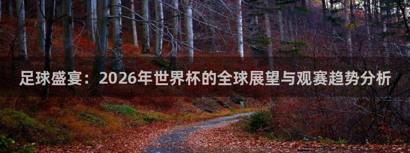 世界杯足球赛：足球盛宴：2026年世界杯的全球展望与观赛趋势分析