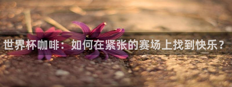 世界杯转播表：世界杯咖啡：如何在紧张的赛场上找到快乐？
