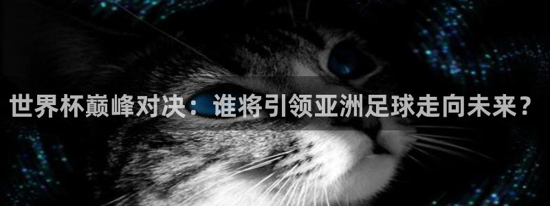 美国世界杯：世界杯巅峰对决：谁将引领亚洲足球走向未来？