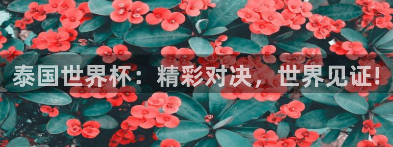 世界杯女足直播：泰国世界杯：精彩对决，世界见证!