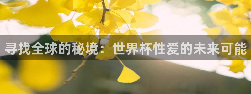 世界杯 赛程：寻找全球的秘境：世界杯性爱的未来可能