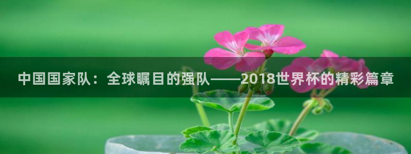 2026世界杯亚洲区预选赛赛程:中国国家队:全球瞩目的强队——2018世界杯的精彩篇章