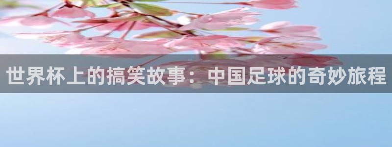 世界杯决赛圈球队：世界杯上的搞笑故事：中国足球的奇妙旅程