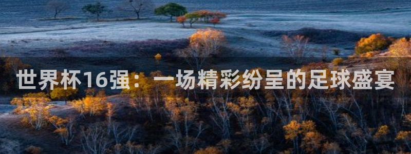 世界杯预选赛亚洲：世界杯16强：一场精彩纷呈的足球盛宴